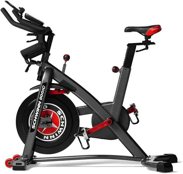 Schwinn IC8 (800IC) Bike de Spinning Magnética 18kg